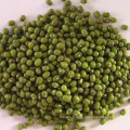 Hot Sale Compressing Mung Bean